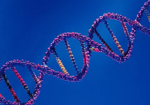 ADN-ul unui schelet vechi de 10.000 de ani arată că britanicii aveau pilea întunecată