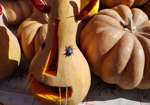 REPORTAJ: Ce fac oltenii de Halloween? Bătrânii scuipă-n sân de teama strigoilor și sunt suparați că moartea e prilej de distracție