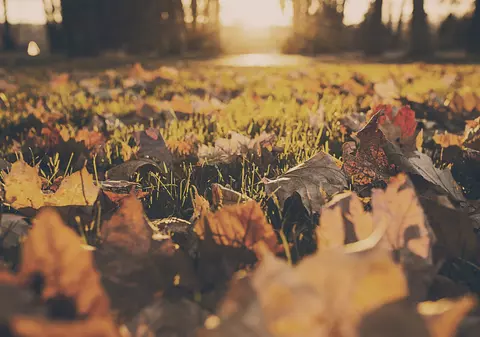 Temperaturi neobișnuite pentru octombrie, în două orașe din România