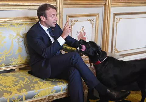 Câinele lui Macron, surprins în timp ce urina pe șemineu în Palatul Elysee, în timpul unei întâlniri a președintelui