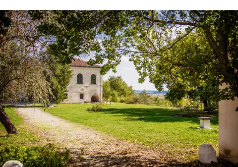 Casa natală a celei mai importante familii politice din țara noastră este scoasă la vânzare. Cât costă un castel în România