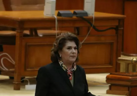 Rovana Plumb nu candidează la funcția de vicepreședinte PSD; O va susține pe Carmen Dan