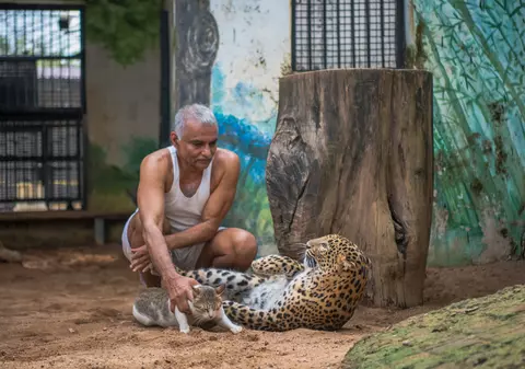 Un bărbat a salvat peste 100 de animale sălbatice, pe care le-a primit în ... locuința sa
