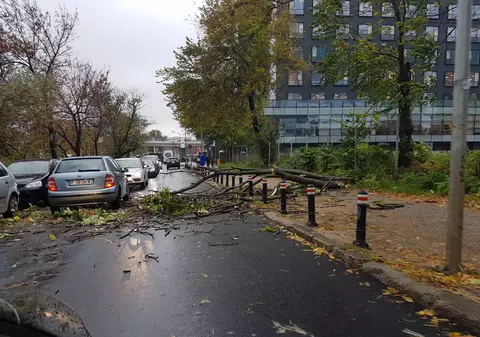 FOTO | Bilanțul furtunii din Capitală și din țară. Copaci căzuți, mașini distruse