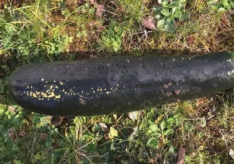 A confundat un dovlecel uriaș cu un... proiectil. Bărbatul a alertat autoritățile privind descoperirea