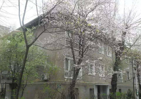 Cum arată cel mai ieftin apartament de vânzare în Primăverii. Îl iei la preț de garsonieră în Tineretului