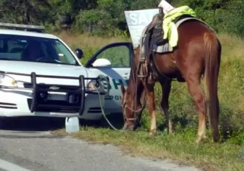 O femeie a fost arestată după ce a călărit sub influența băuturilor alcoolice