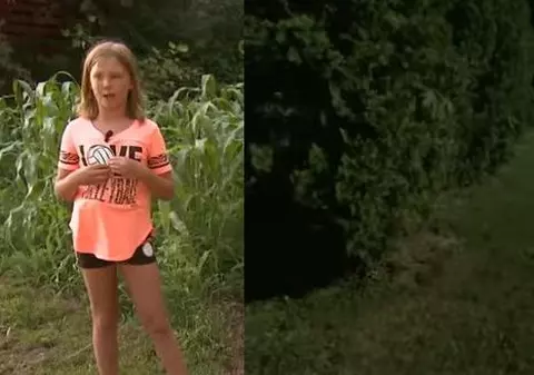 O fetiță a ieșit din casă cu gândul să caute prin iarba din grădina casei sale. Oamenii spun că este un miracol ce a găsit | VIDEO