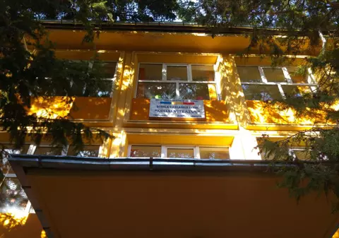 Eleve hărțuite de un coleg cu dezvoltare intelectuală întârziată. Părinții fetelor sunt revoltați