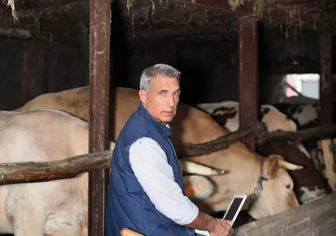 LIBERTATEA TE AJUTĂ: APIA începe plata subvențiilor pentru animale