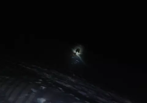 Un urs a vrut să intre în Cabana Postăvarul. Clipe de panică pentru zeci de turiști