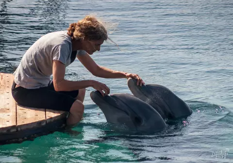 REPORTAJ. Distracțiile pe care nu trebuie să le ratezi în Eilat, Israel