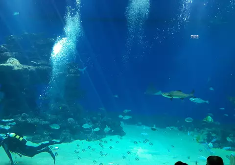 VIDEO/Stațiunea israeliană Eilat, o Mamaia exotică pentru românii dornici de plajă pe timp de iarnă