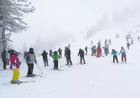 Un urs și-a făcut apariția pe pârtia de schi din Poiana Brașov. Turiștii au sunat la 112