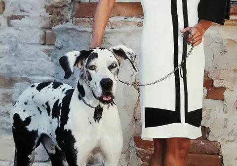 VIDEO/ Anca Țurcașiu are un țel la care nu renunță. Vrea să i se deschidă toate ușile cu drag!