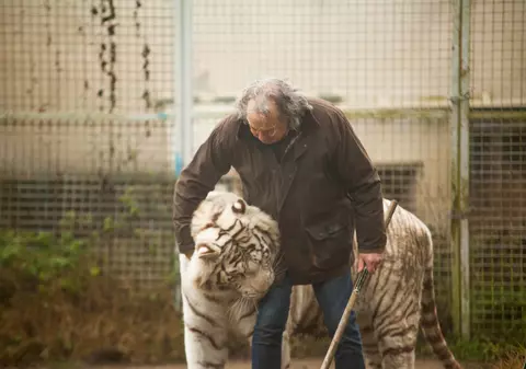 Curajul unui francez de 68 de ani: locuiește cu cinci tigri și doi lei
