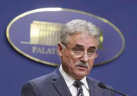 BIOGRAFIE / Cine este Viorel Ștefan, propus pentru funcția de vicepremier în Guvernul Dăncilă