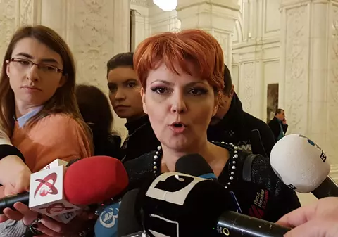 Telemunca, vot final în Parlament. Lia Olguța Vasilescu spune că nu se va aplica videochat-urilor