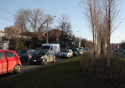 EXCLUSIV| Primăria Sectorului 3 cheltuiește peste 200.000 de euro pe arbori și arbuști. Specialiștii spun că e o amenajare haotică