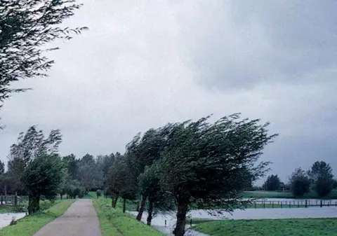 Cod galben de vânt puternic în judeţele Sibiu şi Caraş-Severin. Ce viteze amețitoare va atinge la rafală