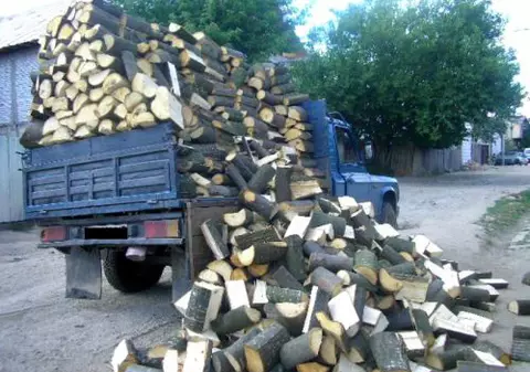 IGPR: Poliţia a confiscat peste 1.000 de metri cubi de material lemnos și a dat sancțiuni de peste 700.000 de lei