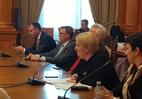 Doina Gradea, în fața parlamentarilor: ”Doar TVR are jurnaliști adevărați, la noi nu există cenzură!” (VIDEO)