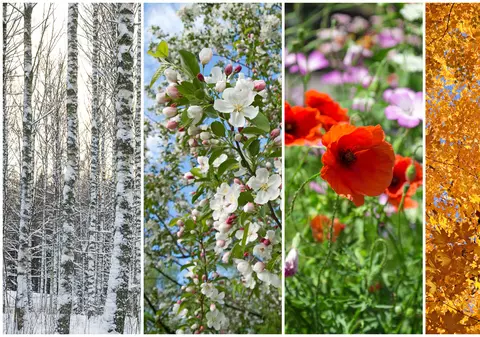 VIDEO / Meteorologii confirmă: Se schimbă anotimpurile! Motivul care a dus la venirea iernii în mijlocul primăverii