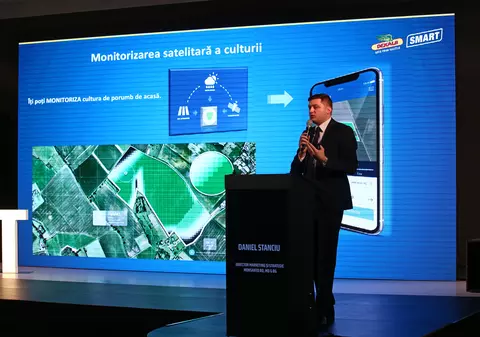 România este pe locul doi în UE la ponderea din numărul firmelor cu creștere rapidă