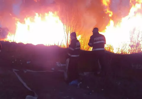 Incendiu la Delta lebedelor din Râmnicu Vâlcea. Flăcările au mistuit aproape întreg arealul / VIDEO