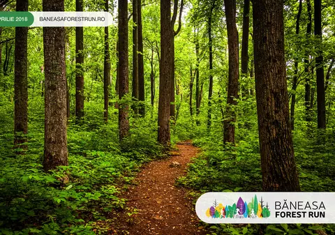 Baneasa Forest Run, din 29 aprilie, alergarea in padurea Baneasa nu va mai fi la fel!