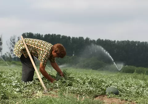 Cele mai multe femei din România muncesc în agricultură. Ce arată datele Institutului Național de Statistică