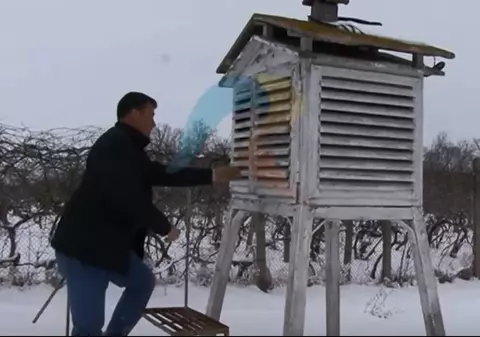 VIDEO. Ploaia înghețată pune în pericol recolta de fructe și producția de vin din România