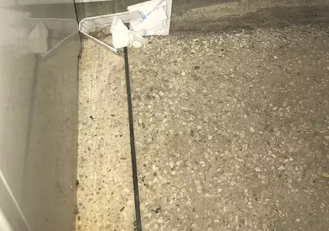 Conducerea SJU Constanța despre acuzațiile Alexandrei Stan: "Am vorbit cu pacientul și a spus că nu a reclamat nimic și nu are nimic de reclamat"