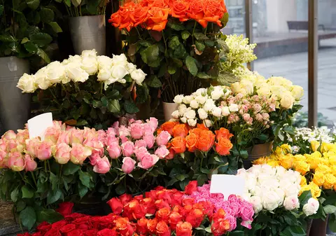 Florile oferite femeilor de 8 Martie. România importă din Olanda trandafiri de aproape 10 milioane de euro