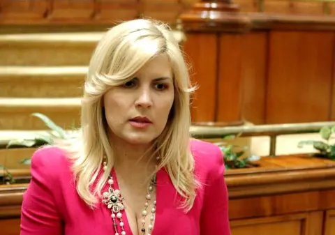 Elena Udrea a pierdut unul dintre gemeni. Ce spune avocatul fostului deputat
