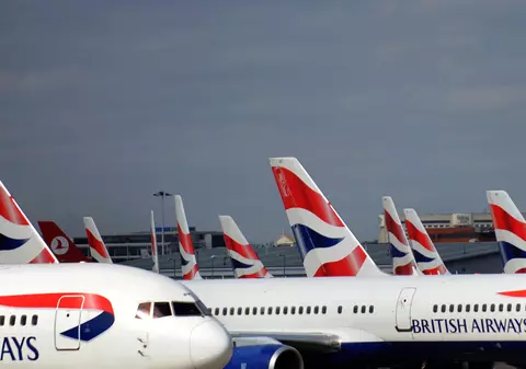 Un câine a murit după ce a fost închis în compartimentul pentru bagaje al unui avion