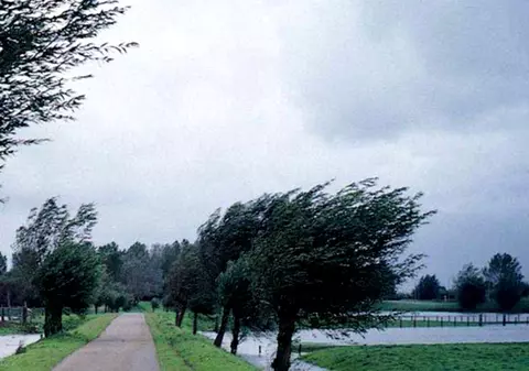 Cod galben de fenomene periculoase în Sibiu și în alte două județe. Alertă meteo la începutul săptămânii