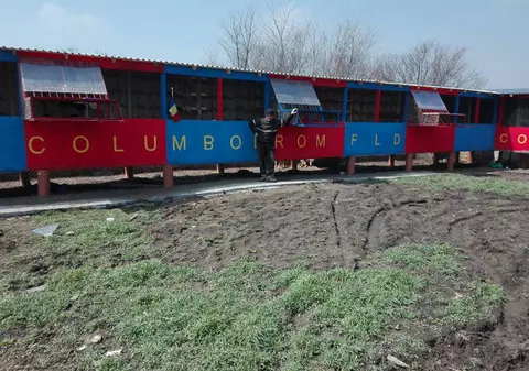 Florentin Dumitru și-a făcut columbodrom în culorile Stelei. Cât costă înscrierea la concursuri