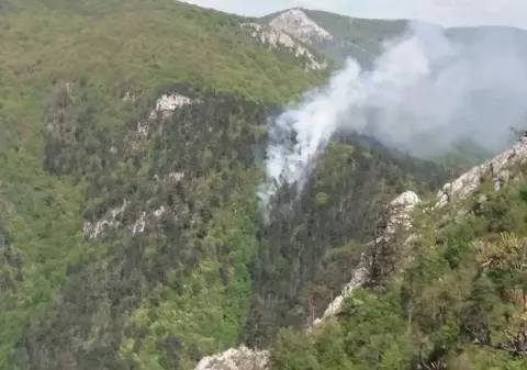 UPDATE/ Arde o pădure de pini în Parcul Național Domogled - Valea Cernei. Aproape 100 de pompieri intervin, sâmbătă dimineață