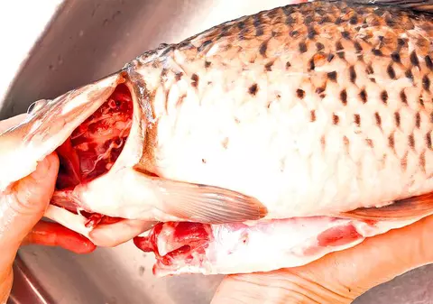 Cum verifici dacă peștele e proaspăt. Dacă ai cea mai mică îndoială, renunță, nu-l cumpăra!
