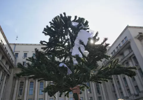 Protestatarii au pus amenzile primite de la Jandarmerie într-un brad la MAI