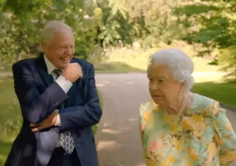 VIDEO / ,,Planeta verde a Reginei”: Regina Elisabeta este vedeta unui documentar despre protejarea pădurilor