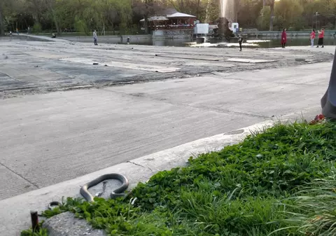 Un bărbat din Neamț a fost mușcat de un șarpe cu care s-a jucat. A dus reptila în pungă, la spital