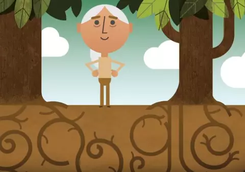 Ziua Planetei Pământ, sărbătorită pe 22 aprilie şi de Google, printr-un doodle