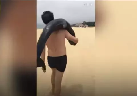 Bărbat căutat după ce a furat un delfin de pe o plajă din China