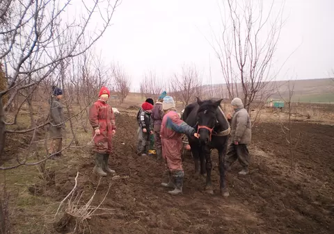 STUDIU: A crescut numărul copiilor care lipsesc de la școală, pentru că merg să muncească. Ce s-a schimbat acum față de 2016