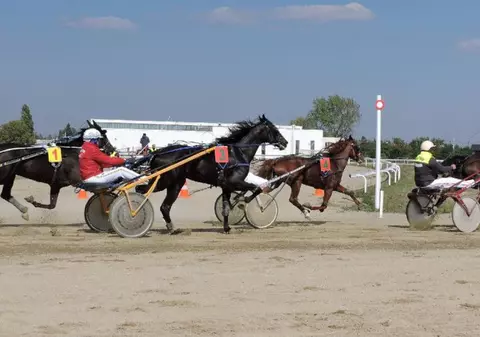 Prima cursă de galop pe hipodromul din Ploiești. Principala atracție: ”Premiul de Mai”, o alergare semiclasică rezervată cailor de 3 ani şi mai în vârstă