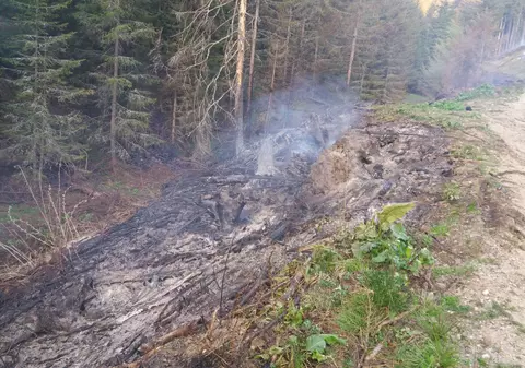 Incendiul din Munţii Ciucaş a fost lichidat. Echipajele se vor retrage în cursul acestei zile