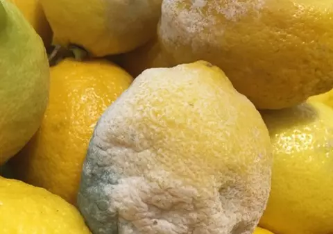 Şase magazine din judeţul Constanţa au fost amendate după ce s-au găsit legume și fructe stricate, dar și alte nereguli