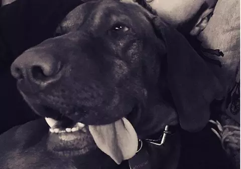 Mihai Bendeac are motive să fie fericit: “Testul de sarcină a venit azi. Treaba asta îmi creează o bucurie suspectă”